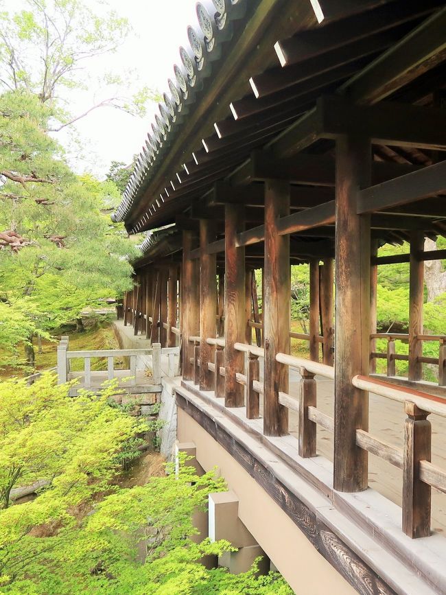 「東福寺三名橋」は、下流から、臥雲橋（がうんきょう）、通天橋、偃月橋（えんげつきょう）の順で架かっている。京都府指定重要文化財である臥雲橋も、日本百名橋に選出されている偃月橋も、それぞれに格調高い魅力的な橋なのだが、三名橋の中でも特に有名なのが、京都を代表する紅葉スポットにもなっている通天橋だろう。<br /><br />方丈と常楽庵（じょうらくあん）（開山堂）を結ぶ通天橋は、長さ約27ｍの木造廊橋（屋根付き橋）で、幅は約2.7ｍ。約10.5ｍの高さを持つこの廊橋の周辺には、２千本以上の楓が繁茂し、それが一斉に紅葉する様は、超絶的な美しさで見る者の胸を打つ。しかし、通天橋からの景観を堪能できるのは、決して紅葉期だけではない。春には一面の新緑、夏には青楓の広がりが、雲上界のごとき世界を体感させてくれるし、枯木立越しに相貌をあらわす洗玉澗の眺めも、冬ならではの絶景だ。<br /><br />通天橋は、谷を渡る労苦から僧を救おうと、普明国師が室町時代に架けたもので、南宋の名高き禅の修行場である径山の橋を模したと伝えられる。廊橋入口に掲げられた「通天橋」の扁額も、普明国師の筆によるものだ。<br />天災で崩壊したりして何度も架け替えられてきたが、現在の通天橋は、1961（昭和36）年に再建されたもの。橋脚部分が初めて鉄筋コンクリート化されたことで、紅葉見物に訪れる参拝者の多さにも、十分耐えられるようになった。<br />開山である聖一（しょういち）国師を祀る常楽庵に通じる橋なので「通天橋」と名付けられた、と思われがちだが、日常のあらゆる所作を修行と考える禅宗においては、「通ずるべき天」もまた、自らの心のうちに見出すべきものなのかもしれない。日々の慌ただしさの中で見失いかけていたものの多さに、ふと気づかされる、思索的な空間性に富んだ名橋である。<br />https://www.okeihan.net/navi/bridge/bridge26.php　より引用<br /><br />【通天橋】<br />京都市東山区の東福寺境内にある橋。本堂と開山堂とをつなぐ歩廊の一部。洗玉澗(せんぎょくかん)という渓流に架かる。紅葉の名所。<br />https://kotobank.jp/word/%E9%80%9A%E5%A4%A9%E6%A9%8B-570613　より引用<br /><br />東福寺（とうふくじ）は、京都市東山区本町十五丁目にある臨済宗東福寺派大本山の寺院である。山号を慧日山（えにちさん）と号する。本尊は釈迦如来、開基（創立者）は、九条道家、開山（初代住職）は円爾である。京都五山の第四位の禅寺として中世、近世を通じて栄えた。明治の廃仏毀釈で規模が縮小されたとはいえ、今なお25か寺の塔頭（山内寺院）を有する大寺院である。 <br /><br />東福寺は京都市東山区の東南端、伏見区と境を接するあたりにある。明治14年（1881年）にも大火があり、仏殿、法堂、方丈、庫裏などがこの時焼失した。現在の本堂、方丈、庫裏などは明治以降の再建だが、国宝の三門をはじめ、東司（便所）、浴室、禅堂などは焼け残り、中世の建物が現存している。 <br /><br />境内　　三門、本堂、方丈、庫裏などからなる主要伽藍を中心に25の塔頭寺院がある。主要伽藍の北には洗玉澗（せんぎょくかん）という渓谷があり、西から東へ臥雲橋、通天橋、偃月橋という3本の橋（東福寺三名橋）が架かる。通天橋は、本堂から通じる廊下がそのまま屋根付きの橋となったもので、この付近は特に紅葉の名所として知られる。橋を渡ると、開山円爾を祀る常楽庵がある。応仁の乱の戦火を免れた貴重な文化財が数多く存在する。 <br />三門　応永32年（1425年）に足利義持が再建し、現存する禅寺の三門としては日本最古のものである。上層に釈迦如来と十六羅漢を安置する折衷様の五間三戸二重門である。<br />本堂（仏殿兼法堂）　明治14年（1881年）に仏殿と法堂が焼けた後、大正6年（1917年）から再建工事にかかり、昭和9年（1934年）に完成した。入母屋造、裳階付き。高さ25.5メートル、間口41.4メートルの大規模な堂で、昭和期の木造建築としては最大級のもの。天井の竜の絵は堂本印象筆である。本尊釈迦三尊像（中尊は立像、脇侍は阿難と迦葉）は、明治14年の火災後に万寿寺から移されたもので、鎌倉時代の作である。<br />方丈　明治23年（1890年）の再建。正面前庭にある唐門は明治42年（1909年）に造営され、昭憲皇太后より下賜されたものである。庭園は近代の造園家、重森三玲によって昭和13年（1938年）に作庭され、方丈を囲んで四方に配される。釈迦成道を表現し、八相の庭と命名されている。鎌倉期庭園の質実剛健な風格を基本とし、これに近代芸術の抽象的構成をとり入れた枯山水庭園である。庭園は2014年10月、国の名勝に指定され、造園当時の砂紋が復元された。<br />南庭 - 荒海の砂紋の中に蓬莱、方丈、瀛洲（えいじゅう）、壺梁の四仙島を表現した配石で、右方には五山が築山として表現されている。<br />北庭 - 南の恩賜門内にあった敷石を利用し、石と苔を幾何学的な市松模様に配している。<br />西庭 - さつきの刈込みと砂地が大きく市松模様に入り、くず石を方形に組んで井田を意図している。<br />東庭 - 東司の柱石の余材を利用して北斗七星を構成し、雲文様の地割に配している。<br />庫裏　明治43年（1910年）に再建。方丈唐門とともに昭憲皇太后の恩賜建築である。切妻を正面とする禅宗式寺院の典型。<br />常楽庵　主要伽藍の北側に位置する。開山円爾像を安置する開山堂とその手前の昭堂を中心とした一画。文政2年（1819年）焼失後、同9年（1826年）までに再建された。昭堂の中央部分は2階建の楼閣となっており、伝衣閣（でんねかく）と称する。金閣（鹿苑寺）、銀閣（慈照寺）、飛雲閣（西本願寺）、呑湖閣（大徳寺塔頭芳春院）と並び「京の五閣」といわれている。客殿や庫裏は特に「普門院」と呼称され、かつて京都十刹の一つに数えられていた名刹普門寺 (京都市)の名残を残している。<br />禅堂　貞和3年（1347年）に再建された豪壮な姿に往時の隆盛がしのばれる単層・裳階（もこし）付切妻造の建物で、中世期より現存する最大最古の禅堂である。<br />東司（とうす）室町時代唯一、日本最大最古の禅宗式の東司（便所）の遺構で、多くの修行僧が一斉に用を足すことから百雪隠（ひゃくせっちん）とも呼ばれる。内部は中央通路をはさんで左右両側に円筒の壺を埋める。<br />浴室　前面を入母屋造、後方を切妻造にした単層本瓦葺の建物で、長禄3年（1459年）に建てられた京都最古の浴室建築の遺構として知られる。内部は正面板敷きの上に2つの蒸し風呂が並び、後方に釜と焚き口がある。<br />月下門（月華門）板蟇股（かえるまた）など細部にわたり鎌倉時代の特色をよく残す切妻造・檜皮葺木の四脚門で、文永5年（1268年）に一条実経が常楽庵を建立した際に亀山天皇が京都御所の月華門を下賜されたと伝えられる。<br />六波羅門南正面に立つ本坊伽藍の最南端にある鎌倉時代前期の門で、もと北条氏の六波羅政庁にあったものを移したことから、この名で呼ばれている。<br />偃月橋（えんげつきょう）　本坊より塔頭、龍吟・即宗両院に至る三ノ橋渓谷に架かる単層切妻造・桟瓦葺きの木造橋廊である。1603年に再建、1967年に重要文化財に指定され、日本百名橋にも選ばれている。<br />境内には宋から伝わった「通天モミジ」と呼ばれる三葉楓（葉先が3つにわかれている）など楓の木が多い。<br />（フリー百科事典『ウィキペディア（Wikipedia）』より引用）<br /><br />東福寺　については・・・<br />http://www.tofukuji.jp/