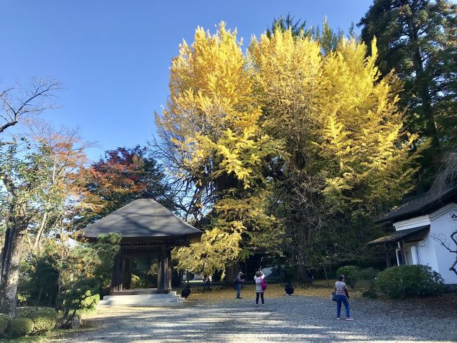 2018年11月 秋川渓谷ハイキングで紅葉狩り