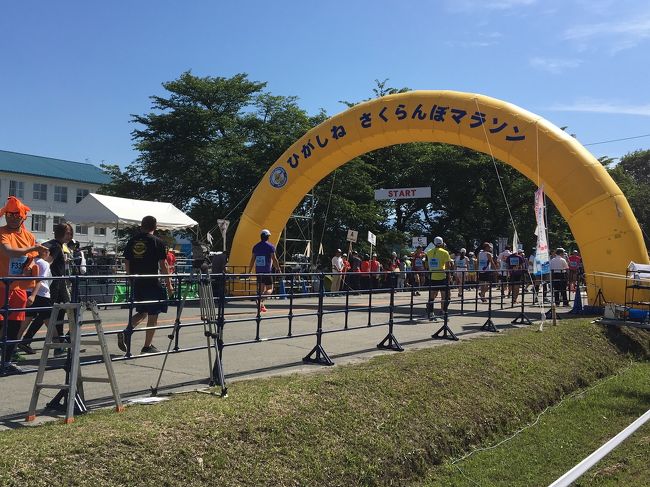 山形県のさくらんぼ東根で開催される、さくらんぼマラソンに参加。<br />「さくらんぼマラソン」という魅惑の響き！<br />友達はハーフ、私は10キロにエントリーしました。<br />地元の人たちが温かく、ホッコリする大会でした。<br />近くに温泉もあって、ランの後は温泉で温まれるし、最高でした。