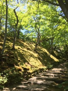 【京都ひとり旅】青もみじ＆新元号名所と限定御朱印めぐり③～地下鉄・嵐電・レンタサイクル満喫コース～