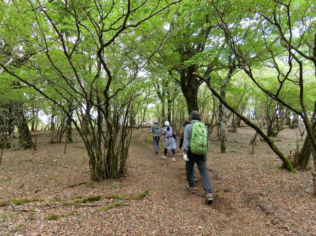 うふふ・・・な愛鷹山