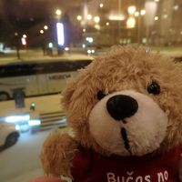 Day 6-1 Latvijas Lācisとバルト三国里帰り＆クリスマスマーケット★人生初の自力渡航(タリン 1)