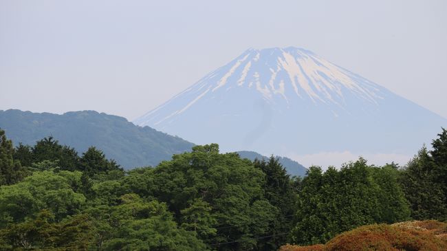 たまには箱根あたりに行ってのんびり景色を楽しみながらランチでもしたいね～<br />行くなら車が便利だけど途中の渋滞がね～<br />と、ずっと諦めてた私たち<br /><br />「だったら混む前に行って帰ってきたら！？」<br />と、だんなさんがひらめいた！<br /><br />いっそのこと早起きして早朝ドライブ、箱根で朝食、芦ノ湖で遊んでどこかでおいしいランチ。早めに箱根を出て小田原あたりで海産物を買って帰り、<br />夕飯にしちゃう？<br /><br />そろそろ梅雨に入るから、その前に行っちゃおう！<br />朝食は、出来れば景色のいい所がいいなぁ。<br />ランチのお店を探していたら、&#39;&#39;豆腐かつ煮&#39;&#39;で有名なお店を発見！<br />糖質制限中で大好物のカツ丼をずっと我慢していただんなさん。<br />もしかしてこれはいいかも。<br />ご朱印にハマっている私には箱根神社もあるし<br />なんだかいいんじゃないの～？<br /><br />そうと決まればレッツ・ゴー!!!!<br />さてさて、早起きは、何文の得になるでしょう！？