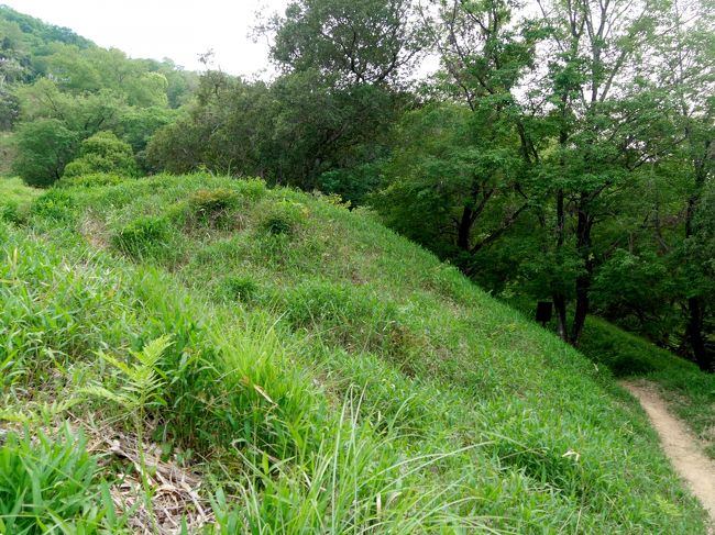 1555 紀伊風土記の丘の岩橋千塚古墳群を廻る.たくさんの古墳群だがほとんど円墳 横穴式石室だ しかし良く集中してこれだけ墓を作ったものだ.すごいねえ.将軍塚など6世紀後半の古墳は石室が大きいため中に入ることができる.それ以外の住宅も江戸時代の暮らしがわかって興味深かった.1713風土記の丘を出発して,KIXへ.NH98便2110発で帰京した.夕食は大量の外国人でやっと食べたという感じ.SAで食べておけばよかったと反省した.しかしこの1泊2日の旅,実質1日だったが,サウナに紀三井寺,和歌の浦,和歌祭,そして風土記の丘と満載の旅だった,おかげでレンタカー使用にもかかわらず,27624歩の一日だった.