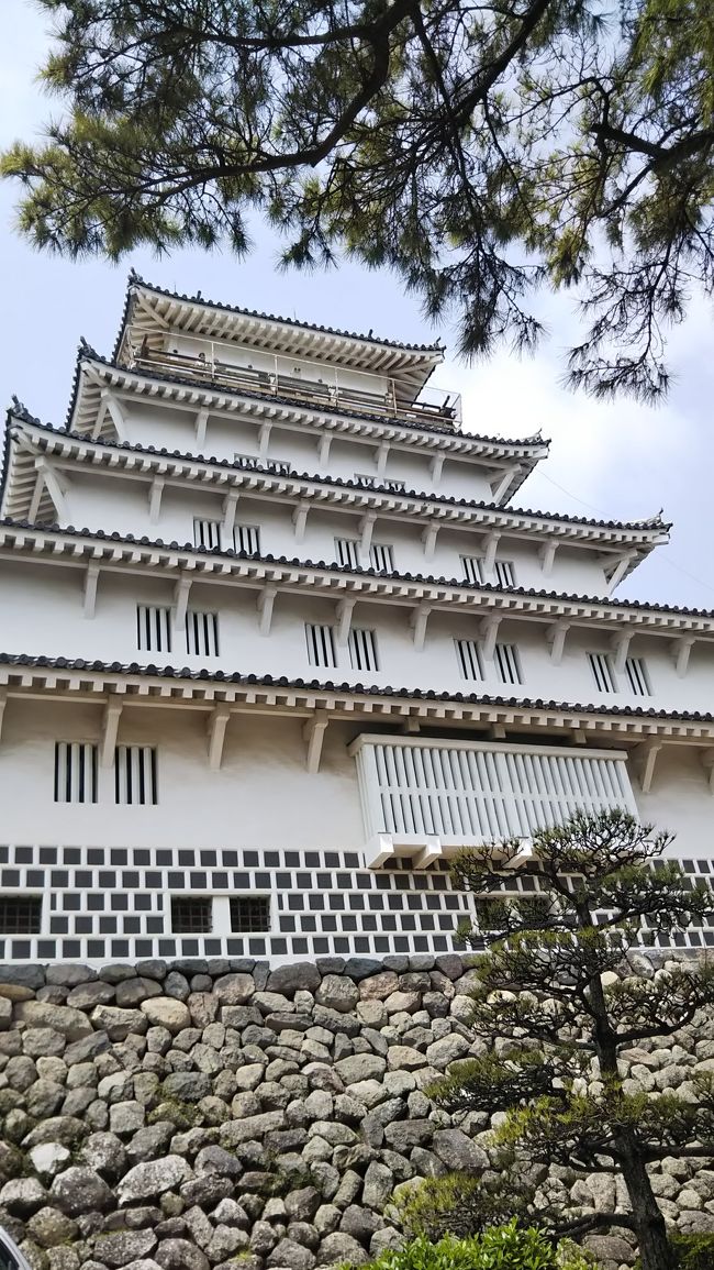 島原城と原城をめぐりました。地元名物の具雑煮、寒ざらしも食べました