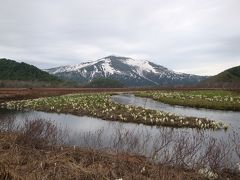 【連載】2019年５月、尾瀬水芭蕉の旅[３]下の大堀は水芭蕉ポイント。ビールぐびぐび！……まだー？