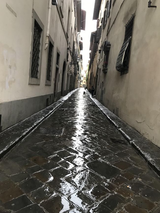 表紙の写真・雨に煙る石畳の路地にワンちゃん^_^こんな風景も素敵なのですが、数日の観光では雨は嫌われてしまいますよね＾＾；<br />私は前回と今回も天候に恵まれてラッキーでした。<br /><br />☆☆新型コロナウイルスで落ち着かない日々です。<br />北イタリア辺り・・2017年の一人旅でベネチア～ミュンヘンまでの路線を利用しましたが、一時停止というニュースも・・どうなのでしょうか？<br />早く収束してほしいと切に願っています。<br /><br />2019・5月14日（火）15日（水）2日間フィレンツェに滞在した折で人っ子一人いない早朝・6時頃の大聖堂などの写真を写しました。<br /><br />2017年9月の訪問時の旅行記をたくさん編集したので、今回はサラリとスルー予定でしたが、観光客の姿が無い風景も残そうと思います。<br /><br />が、ここでアクシデント・・私は帰国後に暇を見つけて、4トラの旅行記を作成するのに、写してきた写真を全て載せてから消去していく方式を取っています（明らかに変な写真はのぞいて）<br /><br />ところが、編集途中にPCが突然、壊れてしまってデーターが消失。<br />何時も夫がバックアップを取ってくれるのですが、忙しくて後回しになっていたのに、私が早々にカメラのメモリーを消してしまったのです。<br />何を思ったのか5枚ほどあるメモリー整理を・・・＾＾；<br />間が悪い時ってこんなものですね！！<br /><br />それで、この前半のみ生き残った写真のみになりました。<br />ヴェッキオ橋から対岸をブラブラ歩いて、上流のグラツィエ橋を渡りサンタクローチェ教会まで行った風景も写したのですが、長いので後日にとおもって中断中で、その部分はアップしていなくて消失（涙）<br /><br />でもね！スマホの映像は残しておいたので、後半の20日（月）に1泊した雨のフィレンツェの風景が、少し残っていて備忘録になりました。<br /><br />余分な写真も入れましたので132枚・・長いですね＾＾；<br /><br /><br /><br />