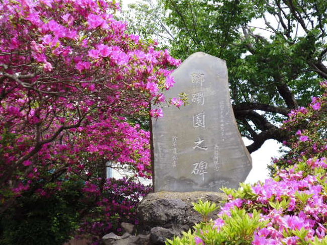 横須賀のある三浦半島の海でなく山の部分をウオーキングです。北下浦観光協会主催のウオーキングに参加してきました。<br />２００ｍほどの三浦富士ですが、頂上の武山でもつつじがきれいで、いい天気のいいウオーキングでした。