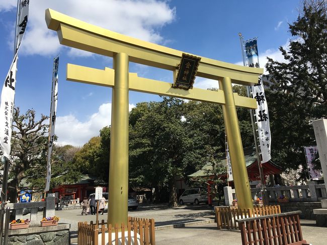 ホテルを出て、荷物を車に置いた後、<br />神社に行ってみようと歩き出します。<br /><br />岐阜駅前に鎮座する信長くんの像と同じく、<br />煌びやかな金色に輝く鳥居を見に。<br /><br />御朱印帳にも印を頂きました。<br /><br />岐阜が金のイメージになったかな。<br /><br /><br />その後無駄に(?)長久手に一瞬立ち戻り、<br />帰路に着きます。<br />帰路の写真は殆どありません。<br />なぜなら大変な事態になっていたから。。。