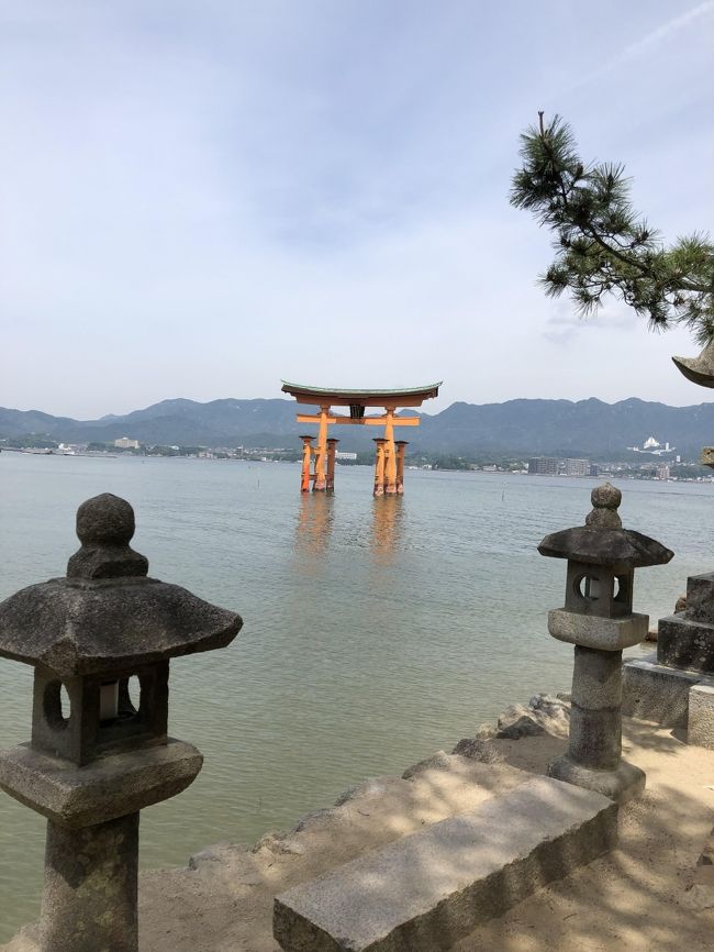 己巳の日に広島行く機会があったので、厳島神社に行った後、広島カープ満喫してきました!<br /><br />