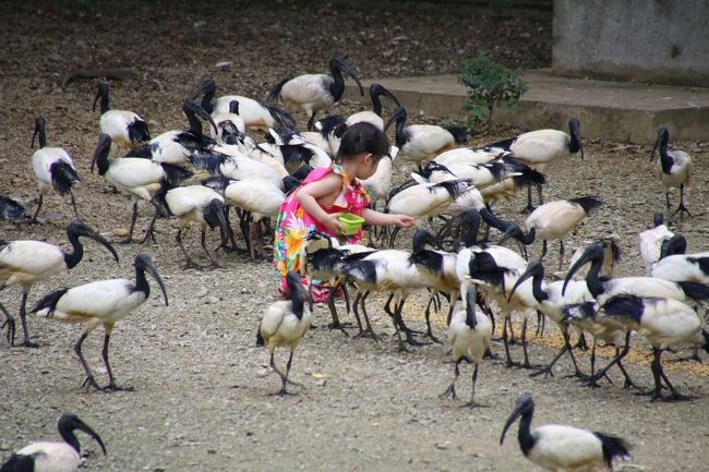 動物と触れ合いたくてネオパークオキナワ散策