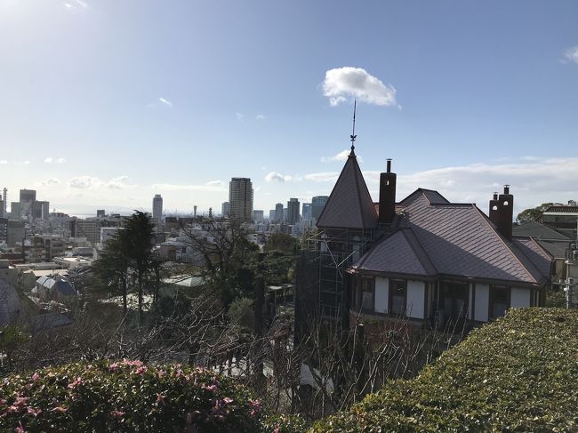 今回の朝観光は、京都→神戸の旅。<br /><br />西芳寺（苔寺）の拝観と仁和寺会館の宿泊を予約していたため、前回と変わらない観光ルートとなってしまった。<br /><br />3日目は京都、神戸<br /><br />仁和寺に宿泊し「朝のお勤め」に参加後、神戸へ。<br />生田裔神八社巡りをしながら神戸の街歩きをしようと思っていたが帰宅後、四宮を忘れていたのに気が付いた。<br /><br />仁和寺、二宮神社、一宮神社、北野天満神社、五宮神社、祇園神社、厳島神社、七宮神社、湊八幡神社、湊川神社、六・八宮神社、三宮神社、生田神社を参拝。<br /><br />神戸空港よりANA4821便で新千歳まで。