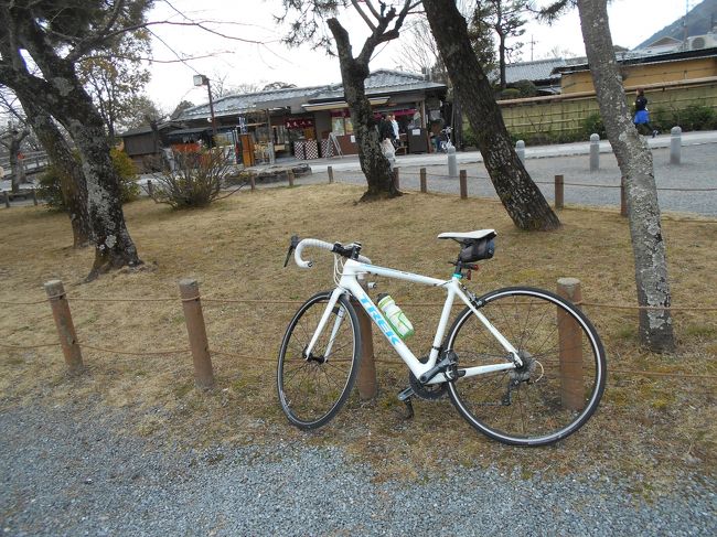 嵐山でのサイクリング