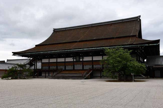 御所は今、特別な行事でもない限り、いつでも予約無しで見学することができます。日に何回か、時間を決めて案内が付いてお話しを伺うことができます。紫宸殿を始めとして、見所が満載です。時間があれば、庭が見事な仙洞御所と一緒に廻るのがお勧めです。