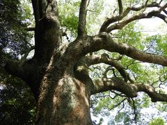 名残惜しい五島・福江島での最後の訪問は？ 潜伏キリシタンの里を訪ねて、おまけの旅行記。