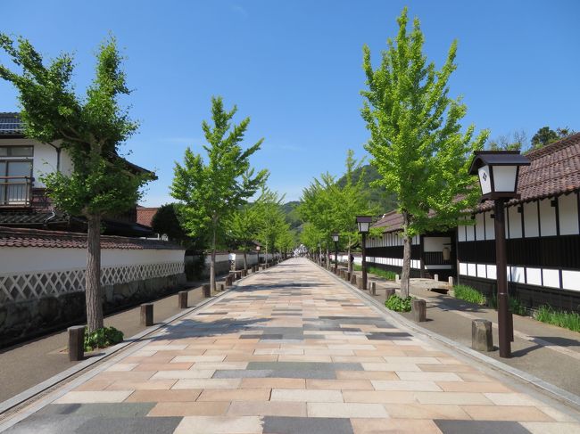 前年秋に山口県・萩市に行ったので、今年は萩と並べて観光地になっている津和野を観光してみました。<br /><br />萩と津和野は県も違うし、文化も全く違うし、別に近くもないし。<br />なんでセットになっているのか不思議ではありましたが、萩とは違い落ち着いた感じの静かな街でした。<br /><br />最後はSLも見れて、短いながらも思い出に残る1日でした。