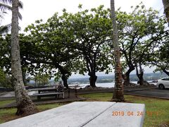 ｛ハワイ島｝　ヒロ・リリオカラニ公園　　2019.04. 24