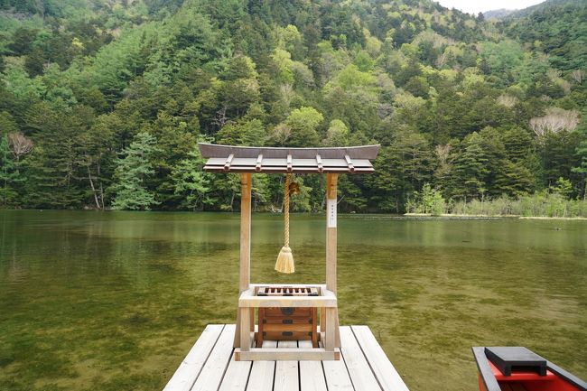 カメラ好きの友達と新緑の上高地に行こうという話になり、週末泊は避けて5月の木金土の2泊3日で旅行しました。<br /> 2日快晴、1日は曇り雨でしたが両方の雰囲気を味わえて結果オーライです。<br /> バスを活用しつつも結構歩いたので疲れましたが、歩きながらどこを見ても飽きない変化のある自然の風景で、さらに赤ちゃん連れのサル軍団に会えて充実した滞在でした。<br /> ちなみに沢渡駐車場-上高地バスターミナル(BT)往復券を持っている人は、有効期間中は大正池>BTまでのみ無料だそうです。<br /><br />【日程】<br /> 木曜:大正池>田代池>田代橋>河童橋>バスターミナル<br /> >バスで大正池ホテル<br /> 金曜:ホテル>バスでバスターミナル>河童橋>岳沢湿原<br /> >明神池>明神橋>梓川左岸>バスターミナル<br /> >バスで大正池ホテル<br /> 土曜:大正池で朝から撮影、チェックアウト後バスでBT<br /> >河童橋>岳沢湿原>サルの群れ>明神池手前でUターン<br /> >河童橋>バスターミナル>沢渡駐車場<br /><br />【宿泊】大正池ホテル 洋室ツイン2連泊エコプラン(合計29160円/人) <br /> タオル交換やアメニティ補充は無い(頼むと有料)ですが、<br /> 2泊で計6000円も安くなる上に、2泊目の夕食はより良い<br /> ものだったし、お得プランだったと思います。<br /> 何よりも超早朝に大正池を見れるのでこのホテルにして良かったです。