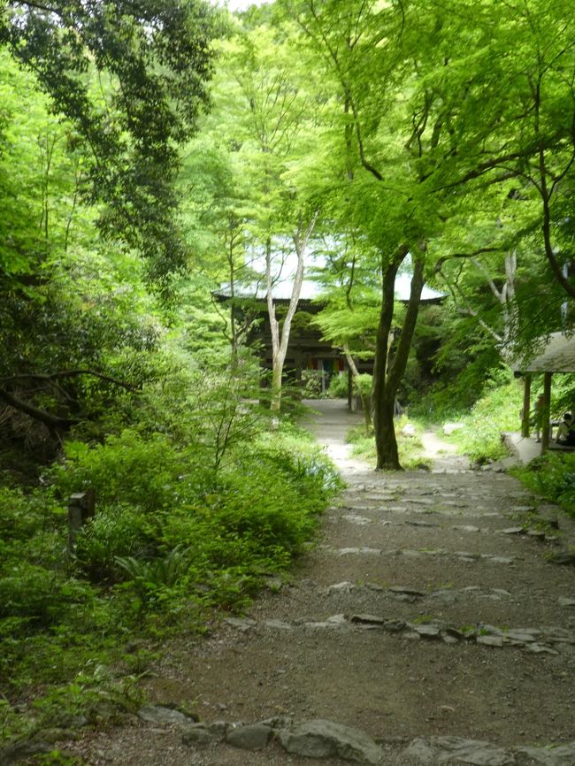 【西国札所巡礼　2019年】１日目　早朝散歩から西国巡礼難所の１つ施福寺へ、道明寺は松潤のことではありません（４番施福寺、５番葛井寺）　