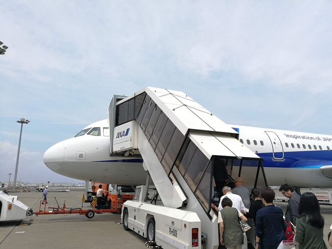 鹿児島に帰省して来ました。<br />空路はANAを利用し往復とも機種はA321neoで普通席でもモニターが付いているタイプのシートでした。このため片道2時間弱の飛行時間も退屈せずに動画や音楽を楽しむことができました。<br />ホテルは鹿児島中央駅近くにシルクイン鹿児島をBooking.comから予約しました。このホテルにした一番の理由はビジネスホテルにもかかわらず館内に源泉かけ流しの温泉があることです。最近はなかなか温泉に行くこともなかったので、ここで入浴できて幸いでした。<br /><br />6/1（土）12:00羽田→13:50鹿児島　ANA623便　A321neo<br />6/2（日）19:20鹿児島→21:05羽田　ANA630便　A321neo<br /><br />