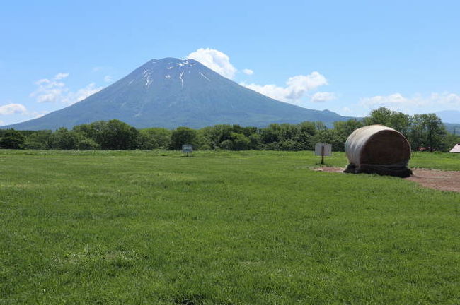 息子が北海道で生活を初めて９年。<br />息子のいる札幌を中心に旭川、富良野を訪れて来たが、倶知安に移動したので、今回は息子の車で日帰りで行かれる見所を訪れた。<br /><br />6/01　  東京→新千歳空港→ニセコ　ザ・グリーンリーフ・ニセコビレッジ<br />6/02     ホテル→ミルク工房→倶知安の三島さんの庭→神仙沼→神威岬→余市