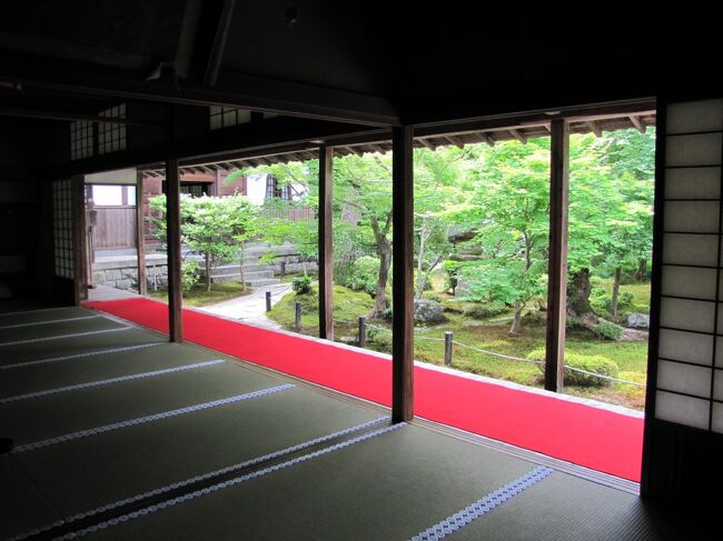 2019.06.05 AM10:41 天気 曇/晴 (梅雨前)<br />左京区 圓光寺 拝観料500円 拝観者10人程度<br />京都市左京区一乗寺小谷町13 (詩仙堂北側)<br />前道は狭く車では曼殊院駐車場(無料P50台)に止めて歩きを勧める<br /><br />人が少なく、小鳥のさえずりが聞こえる。お勧め寺院<br />綺麗にされている。なかなかのもの <br />詩仙堂には中国人が居たがここには居なった。<br /><br />時間短縮するなら左京区方面は圓光寺、銀閣寺、哲学の道で見所を集約できると思います。曼殊院、金福時、詩仙堂は様々カメラアングルが要るなら別だが限られた時間で京都を見物するなら圓光寺、銀閣寺でこの当たりの観光を網羅出来ます。(修学院離宮除く)<br /><br />後で判ったのだがこの圓光寺は紅葉では有名な寺の様です。