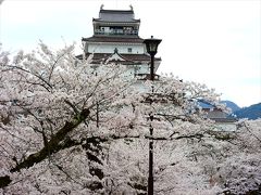 会津若松の桜