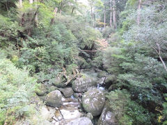 屋久島旅行1日目