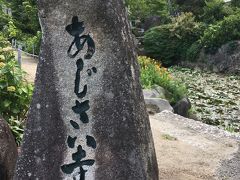 広島☆あじさい寺