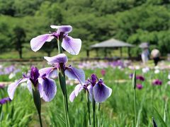 小平・西東京の旅行記