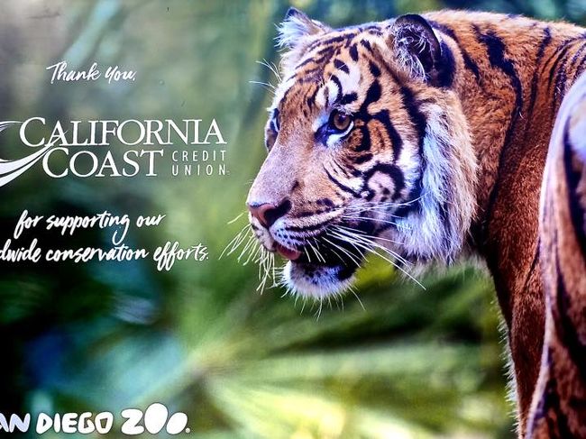 2019年:GW6日目:世界最大規模サンディエゴ動物園&西海岸LA&サンディエゴの旅&香港:最初で最後の公休10連休(8泊10日):家族で!