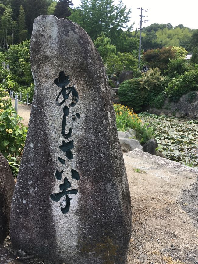 友達と、プチ旅行をしました。<br /><br />神宮寺(あじさい寺)→カフェグリーンポット