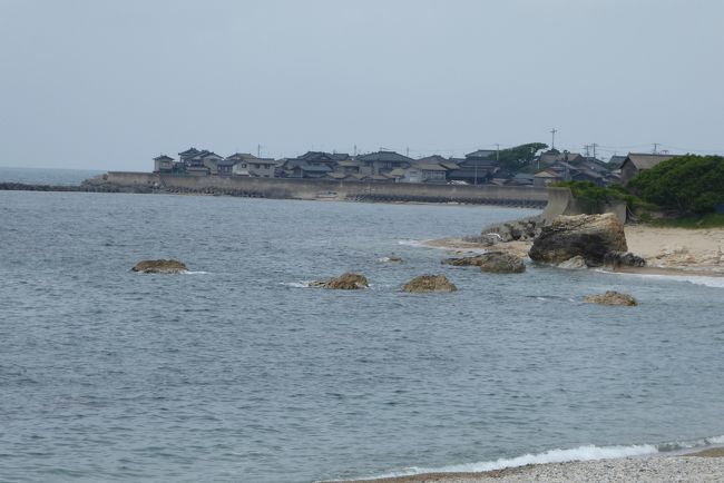 日本海東北自動車道が朝日まほろばまでとはいえ開通して、笹川流れを通ることがなくなり、一度も来訪したことがなかった。村上も通り過ぎるだけで周ってみたことがなかった。通り過ぎなくなった分、かえって一度行ってみるかという気になって出かけてみた。<br /><br />その前に耕雲寺を訪れる。曹洞宗の名刹だ。<br />村上山辺里インターで降りて少し山の方に走るとある。<br />ちなみにこのインターは「やまのべのさと」と少し洒落た名前を付けたのかと思っていたら、「さべり」と読む。つまり完全な地名であった。<br /><br />耕雲寺はかつての曹洞宗の大寺院だが、今では面影もない。今ではもう山里の小さなお寺になってしまった。<br />門前の参道もなくお土産屋さんなどまるでない。駐車場もなく、近くの空いているスペースに車を止める。<br />だが、何の樹かわからないが、幹回りが大人数人はあろうかという大木が、さすがかつての大寺院。<br />山門は小ぶりながらなかなか堂々としていて、ちょっと見上げてしまう。<br /><br />ここの池にヤマトミクリが自生（？）している。北のこの地ではとても珍しい。<br />もっとも、花が咲いていないと、その辺に生えている野草と区別はつかない。野草の哀しさよ。<br /><br />村上市街に戻り、国道345号に入る。<br />海際すれすれを走り、わずかな平地に家が軒を連ねて固まっている、日本の海岸の模範のような道路だ。ドライブ道として楽しめる。<br /><br />笹川流れは目的地にしてはいたが、まあ、どうでもよかった。東尋坊にせよどこにせよ、海岸の奇観というのはみなたいしたことがない。<br />ところが、なかなかおもしろい。<br />陸地が櫛状に海のなかに突き出た地形で、たしかに他の土地ではあまり見ない。<br />「流れ」というのは潮流ではなく、海岸まで迫った山が流れるように海に突き出たことを言ったのではないかと想像する。<br />歩いたらおもしろいかもしれない。ただ、天然記念物でありながら、国道が「櫛」を貫いて通っている。<br /><br />途中、柏尾という小さな海岸集落に、カーサデルファーロ（Casa del Faro）というイタリアン・レストランがある。<br />民家のような素朴な建物に近づくと、中が賑やかだ。<br />ひょっとして？　やっぱり。<br />おばさん連が6人ほどテーブルに固まって座っている。ママ友のランチおしゃべり会だ。<br />世のイタリアンレストランはランチ時はママ友に完全に占拠されているが、まさかこんな小さな集落のレストランまで占拠されているとは！！　<br />私は１００％の確信をもって言う。インバウンドの中国人がうるさい？　いや、日本のママ友の方がはるかにうるさい。<br /><br />料理はとてもおいしい。イタリアントマトも酸味があっておいしく、パスタもおいしかった。ママ友がいないときに、ゆっくり料理を味わいたいレストランだ。