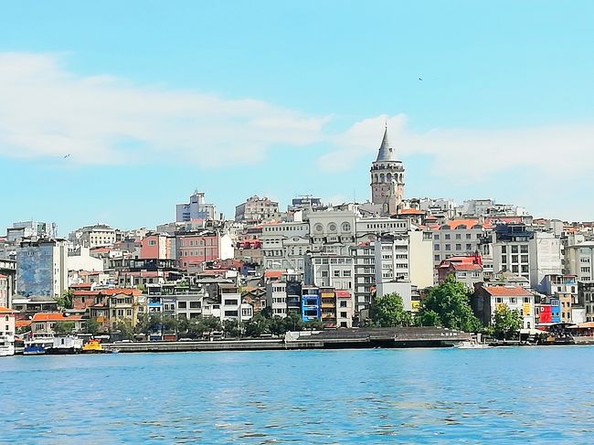 5月21日<br />トルコ首都アンカラからイスタンブールへ。夜はOPツアーのベリーダンスを鑑賞。<br /><br />5月22日 最終日<br />スレイマニエモスクを見学後、ガラタ橋まで散策。<br />そしてポスポラス海峡クルーズ。<br />ランチ後、イスタンブール新空港から成田空港へ。<br /><br />翌日23日帰国。<br /><br />至れり尽くせりツアーだったので、事前の下調べもせず、キャリーバッグに最低限の衣類を詰めて成田へ。<br />いつもだったら、航空券、ホテルの予約を済ませてから、観光地、交通機関、治安、食事のことなど、あらゆることを調べまくって出発。<br /><br />今回のような旅行は、どこを見て回ったか地理的なことも含め、印象に強く残らず、どんどん記憶が薄れていきます。<br />それにしても便利な時代になりました。<br />休憩したドライブインや食事をしたレストランの場所と時刻が、Google MapのTimelineで調べられます。<br /><br />ガイドのベルカンさんの説明も半分くらいは聞き逃し、聞いたその半分は既に忘れてしまってるという有様(;´д`)トホホ…でも、どうにか旅行記を書き終えることできました。<br /><br />トルコの観光地をバスで巡る旅。<br />ベルカンさんが言ってたこと、これだけはメモりました。<br />バスの走行距離は、全部で 2,785km <br />ドライバーさんアッパレです。<br />イスタンブール新空港到着から8日間、ずっ~と一緒。<br /><br />ガイドのベルカンさんにも、とても感謝しております。<br />観光しただけでは分からないトルコ情勢を話してくださり、庄野真代さん、江利チエミさんの歌や、モーツアルトのトルコ行進曲など音源を用意していただき、バスの中で流してくれたこと♪<br />最終日に迷路のようなイスタンブール旧市街を案内いただき散策したことが、この旅1番の思い出です。<br />ドライバーさん同様長時間労働、激務ですね。<br /><br />そしてもうお一人、この旅の添乗員さん、無事に楽しく旅行できたのも添乗員さんおかげです。<br />色々とお気遣いありがたく思っております。<br />旅行中の写真を撮ってアルバム作成もお得意な様子。<br />旅好き、人のお世話好き、面倒なことも厭わないタイプじゃないと務まらない仕事、どいさん、ありがとうございました_(._.)_<br /><br />この旅行記の写真を見て、一人でもトルコに行ってみたいと思ってくれる人がいれば、それが観光に携わるベルカンさんへの恩返しになるかと思っています。<br />ベルカンさんやツアーの皆さんと逸れないよう、僅かな時間にスマホで、構図や逆光を気にせず撮影。<br />見苦しい写真もありますが、私にとってはどれも捨てがたい写真です。<br />絵になる景色を伝えきれないのが残念です^^;