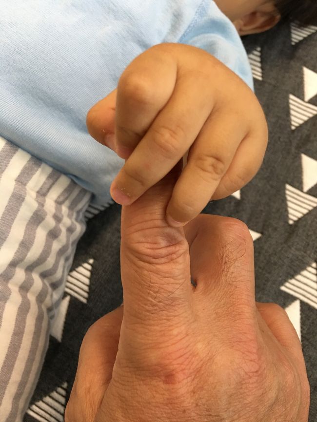 今日は、午後から脳ドックのため会社を休みました<br /><br />朝、銀行に行って未だ時間があるので久しぶりに孫の顔を見に行ってきました<br /><br />妻は、毎週通っていますがジジは1ヶ月ぶりです<br /><br />早いもので7ヶ月!<br /><br />離乳食も始まって大きくなってました