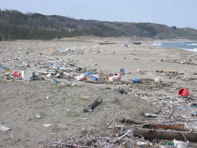 国指定の重要文化財「時國家」は時間が早く、まだオープン前で閉館中だったが、ここで３０分、施設が開くのを待つのもバカ臭く、周辺を少し歩き、再び海岸線を走る元の国道に戻ることにした。時国家は２軒の邸宅が２００ｍ位離れて建っていて、重文の方が本家、先にある方が分家と思われるが、目の前の盆地状の田野からは少し高台に建っていて、目の前の見晴らしがよい。<br /><br />遠流になった時忠がその後都に戻ったのか、この地で没したのかは知らないが、彼の流れを引く子孫が代々この地に残って、家屋敷を守り、目の前の田野を耕してきたのだろう。四国の祖谷で平家落人集落を見たが、ここほど立派な邸宅も血筋もなく、又耕作地も急斜面の痩せた畑地を思うと、この時国家からの眺めは、配流された地とはいえ、小さな荘園を見る思いだった。<br /><br />再び名舟から国道２４９号線を北上し、暫く走ると道路際に奇麗な公衆トイレがあり、車を止めてトイレ休憩とする。トイレの目の前が奇麗な砂浜になっていて、波打ち際まで下りてみる。と、砂浜に出て驚いた。ありとあらゆる種類のペットボトル、塩ビ製品、プラスティック塵が浜辺に散乱している。このプラ塵が無ければ、奇麗な浜辺で、この公衆トイレも、夏場の海水客用に作られたものだろう。海水浴シーズンになれば、浜辺も清掃されて、これ等のプラ塵もどこかに集めあっれて処分されるだろうが、それにしてもすごい量だ。<br /><br />この半島が日本海に突き出ていて、海上に浮かぶプラ塵が隣国韓国や中国から海流に乗って大量に押し寄せてきているかも知れないが、容器の表示等を見ると日本の物が多いようだ。個人個人のマナーを問いてもしょうがないが、国としてはシンガポールのように塵の不法投棄を厳しく罰し、資源リサイクルの徹底化を図らないと、海はプラスティックに溢れることになるだろう。<br /><br />プラ塵の下の砂地は波に洗われ奇麗だ。少し黒みがかっているのは鉄分を多く含んでいるせいなのか。水を汲むと冷たくもなく、温くもない。４月の海の温度だ。北陸の春の海はこんなものか・・。小さな石ころ２－３個を拾い持って帰ることにした。石には魂が宿ると言われる。この小さな浜辺の石に、いつの頃のどんな人の魂が宿っているのか・・。暫く海を眺め、先に向かうことにした。<br />