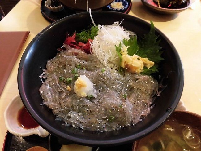 6月最初の土曜日。梅雨入り前の東京地方はお天気に恵まれました。<br />折角お天気もいいし、今日は何の予定もないし…ということで、<br />日帰りで江ノ島へしらす丼を食べに行ってきました！