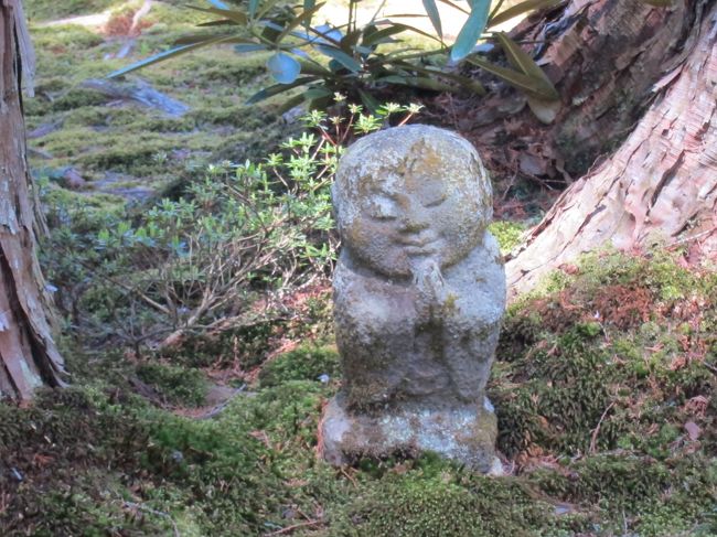 18歳の上の子、あっちゃんを連れての日本里帰り、20日間の旅行記の第2章です。<br /><br />2019年は年号が令和に変わる特別な年。桜も気を使ったのか、例年より長く綺麗な姿を見せてくれました。滞在最初のうちは、本来ならとってに散ってる桜を求めて、日帰りであちこちにお出かけ。<br /><br />滞在4日目の前半は、朝から京都、大原三千院にちぃちゃんの車で向かいました。三千院は私も本当に久々。とっても楽しみにしてました。大原に向かう道で、とても素敵なおばあ様に出会い、勧められるままに行った宝泉院で思いがけず貴重な歴史のものを見学できました。<br /><br />三千院ではお坊様のお話を楽しく聞かせて頂き、ありがたかったですね。<br /><br />大原はなかなか公共交通機関で行きにくい場所にあり、例えば京都駅からバスで1時間ぐらい。http://www.sanzenin.or.jp/<br /><br />このシリーズの登場人物をざくっと紹介(4名しかいないけど)<br />ユリア・・・・英語学校(海外)で夫と知り合い結婚。欧州在住20年<br />あっちゃん・・ユリアの長子・18歳(日本語は怪しい)<br />ちぃちゃん・・・ユリアの姉・大阪在住<br />マコト君・・・ちぃちゃん夫・お酒好き<br /><br />日本滞在旅行記(■がこの旅行記)<br />□4月13日(土) 日本へ出発<br />□ 14日(日) 日本着・母に会う<br />□ 15日(月) 造幣局→大川さくらクルーズ→大阪城→鶴橋商店街 <br />■ 16日(火) 京都大原三千院(前半)→比叡山(後半)<br />□ 17日(水) 神戸中華街→メリケンパーク<br />□ 18日(木) 京都嵐山→念仏寺<br />□ 19日(金)★淡路島(淡路→四国→岡山2泊3日旅行)<br />□ 20日(土)★四国・こんぴらさん <br />□ 21日(日)★倉敷<br />□ 22日(月) 大阪梅田→難波<br />□ 23日(火) 京都八坂神社→都おどり鑑賞<br />□ 24日(水) 難波・ぶどう畑さんとデート <br />□ 25日(木) 近江八幡→竜王アウトレット<br />□ 26日(金)★伊勢志摩旅行(1泊2日旅行)<br />□ 27日(土)★伊勢神宮参り<br />□ 28日(日) 京都伏見稲荷→平等院<br />□ 29日(月) 姫路城(この頃から天気悪し)<br />□ 30日(火) エキスポシティ(お天気悪)買い物<br />□5月 1日(月) 祝!令和!母訪問・イオンモールで最後の買い物<br />□ 2日(火) 欧州へ帰る