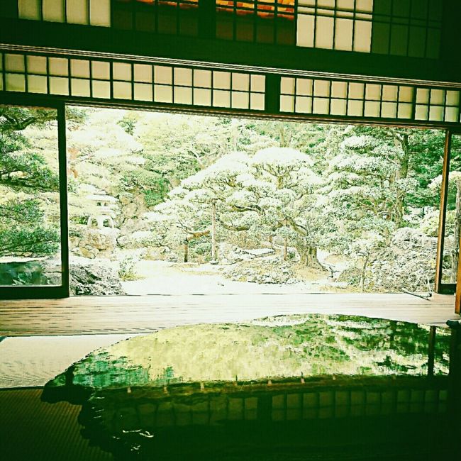 インスタで見つけた素敵なお寺の緑の木々と机に映りこむ緑色。<br />これ、何っ！見たいっ！行きたい！！っということで、急遽の京都旅を計画しました。<br />京都なら日帰りでもよいかなぁ。。とも思ったけれど、せっかくなので1泊しましょう(なぜか、夫からも強く勧められる(笑))と<br />梅雨入り直前の真夏日に新幹線とホテルをさくさくっと予約して<br />今回の旅の目的、目指すは、旧邸御室と瑠璃光院です！