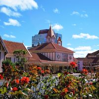 ニュージーランドがこんなに素敵なところだとは知らなかった（ロトルア到着）