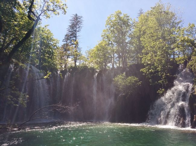 プリトヴィツェ湖群国立公園観光の続きです。<br /><br />ランチ後は上湖群の散策です。