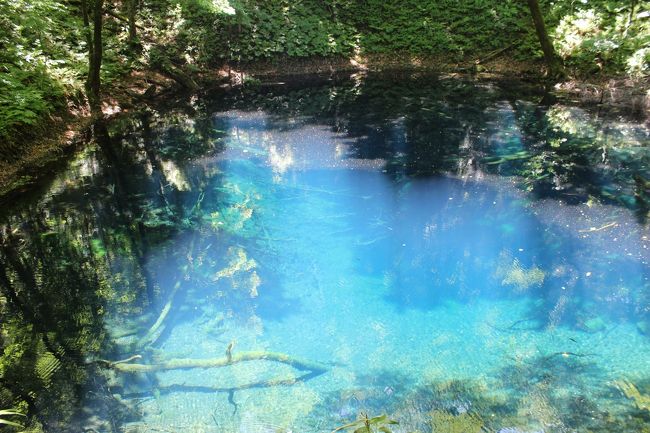 二日目になります、本日は８：００のホテルを出て白神山地・十二湖（神秘的な青池）、JR五能線に乗車、津軽半島の竜飛岬へ行って階段国道を見て、馬門温泉へ「まかど観光ホテル」へ宿泊です。<br /><br />青池は調べると必ず美瑛の青い池がヒットしますが、白神山地の青池はまた違ったブルーでした。<br />吸い込まれそうな青さです。<br />時間によっても青さが変化するそうです（太陽光の入射角によるらしい）