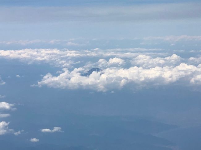 令和になって初めてのお上り東京です。<br />初日は福岡空港から羽田空港へ空の旅、富士山が雲の上から少しだけ見えました。<br />東京について高円寺へ移動し姉夫婦と再会しイタリアンレストランで夕食しました。