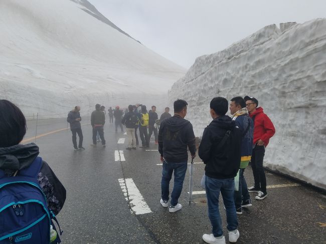 　『　噂　によれば、立山の雷鳥・・・観光地馴れしていて、近くに行っても逃げないらしいゾ！』<br /><br />　『そりゃ～エエぞ！んじゃ～暑いから涼しい所に行こう～♪』<br /><br />　悪だくみの得意な12人のおっさん、そんな決め方で、行き先を<br /><br />　【立山アルペンルート】に決定。<br /><br /><br /><br />おっさん達、言っとくけど「雷鳥は食べられないぞ！」（苦）<br />（奴ら、マジで食用もあるっと思っている）<br /><br /><br />＊本道路については、自然環境保全のため、「マイカー」の乗り入れは禁止されています。