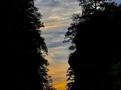 鳥取県大山夕方観察会