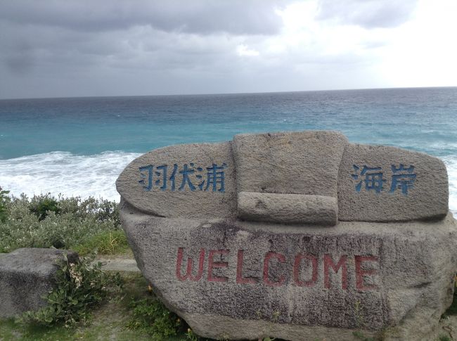 今回の離島旅での第二候補地のうちの１島だった新島！<br /><br />やっぱり行きたくなって、朝一の渡し船で式根島から新島へ入り、４時間後の大型船で東京へ戻ることに急遽変更！<br /><br />４時間で海、飛行機、温泉を徒歩と、無料の村営バスで満喫♪<br /><br />弾丸なのに意外に満足だった！<br />