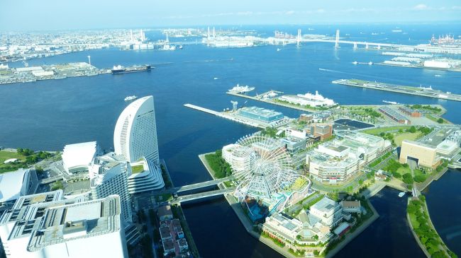 先月半ば、東京2泊3日の旅に行って来たばかりですが、誕生日(6月6日)に、令和初誕生日記念として何処かに行きたくなるかも知れないと思い、6月5~6日を連休にしていました。<br /><br />当初は、好きな街である長崎1泊2日を検討していたのですが、ANAのダイナミックパッケージ「旅作」で検索した所、出発前2週間を切っていても、沖縄(那覇)、東京や横浜に行っても、最安パック料金になっていた事もあり、また飛行機に乗って行く旅行に行く事にしました。<br /><br />また、そのエリアの最安パック料金に、ほんの少し追加するだけで、那覇の「リーガロイヤルグラン沖縄」、東京の「ホテルニューオータニ」が朝食付きで販売されていた為、どちらかで迷ったのですが、横浜を検索すると、「横浜ロイヤルパークホテル」のスカイリゾートフロアアトリエ コンフォートダブルルーム(27平米:シティービュー)朝食付きが、最安パック料金より僅か400円高い、29,200円(持っていたANAスカイコイン4,950円をパック料金に充当しました)で販売されていた為、最終的にここ泊で決めました。<br />なお、選択する往復の飛行機の便でパック料金は上下しますが、私は一番安くなる便を選択しています。<br /><br />ホテルに関しては、今回、チェックイン時に有料UPグレードをお願いし、3,564円(サ・税込)の追加で、デラックスツインルーム(41平米:シティービュー)にして貰いましたが、アトリエフロア最上階の64階がアサインされました。<br /><br />横浜ロイヤルパークホテル スカイリゾートフロア公式サイト<br />https://www.yrph.com/stay/skyresortfloor/index.html<br /><br />今回の、日程・行程は下記の通りです。<br /><br />6月5日(水)<br /><br />福岡 08:00-ANA242-羽田 09:45<br /><br />京急&みなとみらい線で、みなとみらいに移動<br /><br />横浜市内散策&昼食<br /><br />横浜ロイヤルパークホテル 泊<br /><br />6月6日(木)<br /><br />横浜ロイヤルパークホテル70階 「シリウス」でビュッフェ朝食<br /><br />部屋でゆっくりした後、京急リムジンバスで羽田空港に移動<br /><br />羽田 15:00-ANA259-福岡 16:50<br /><br /><br /><br />「横浜ロイヤルパークホテル」にチェックインし、部屋内の写真を撮った後、横浜ランドマークタワー69Fの「スカイガーデン」にやって来て、そこからの眺望を楽しんだ時の様子です。<br /><br />スカイガーデン公式サイト:https://www.yokohama-landmark.jp/skygarden/<br /> <br />「横浜ロイヤルパークホテル」の部屋は64Fだった為、そんなに階数が違わないスカイガーデンにわざわざ来る事もないのですが、部屋からは決まった方向しか眺望出来ないのと、天気が良くなって来たので、思い立って行く事にしました。<br />