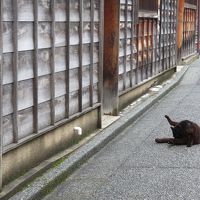 雨模様な金沢散歩