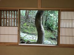 6月の旅 ④ ～ 四条河原町～長楽寺 そして東福寺 ＋京都タワー