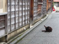 雨模様な金沢散歩